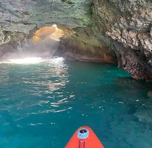 Moderna Mediterranea